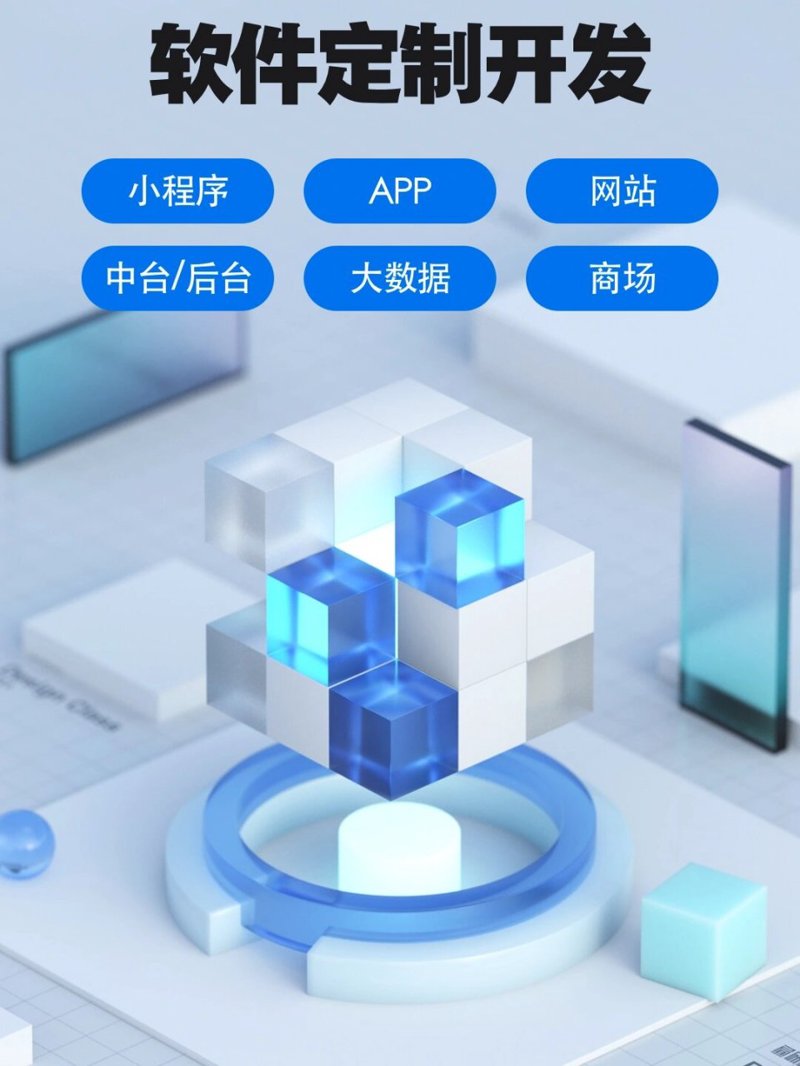 企业管理系统定制:在数字化转型中乘风破浪