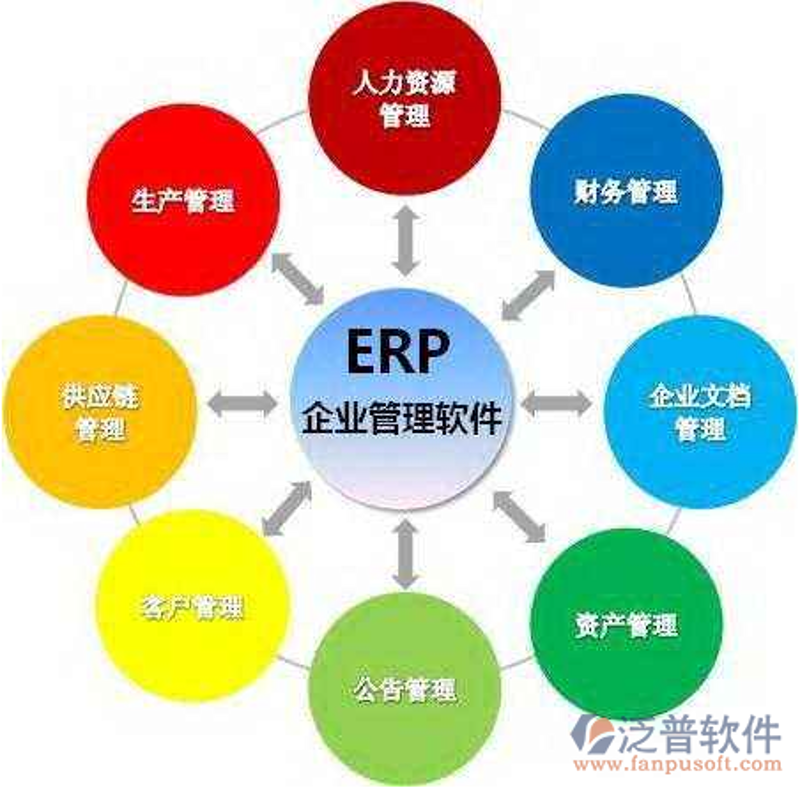 四川软件开发：助力企业数字化转型的新引擎